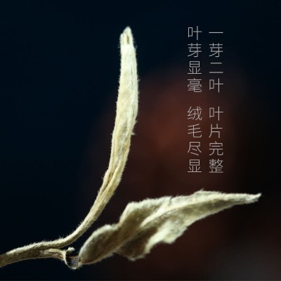 云南名茶月光美人白茶普洱茶生茶散茶景谷大白茶大叶种月光白图4