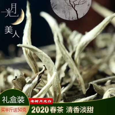 云南名茶月光美人白茶普洱茶生茶散茶景谷大白茶大叶种月光白图2