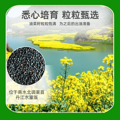 娃娃鱼浓香菜籽油 压榨植物油 5L粮油 家用食用油 菜籽油批发图2