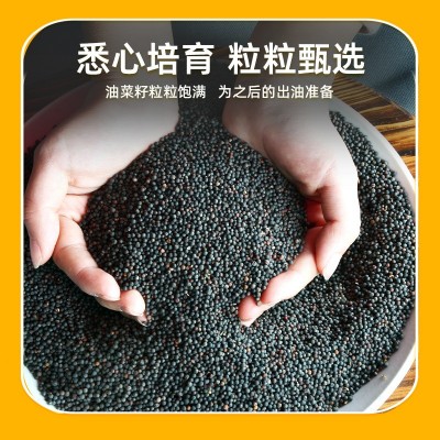 醇香菜籽油 5L桶装浓香菜籽油 菜籽油食用油批发图2