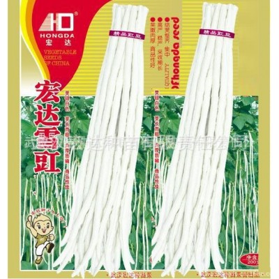 豇豆种子：《宏达雪豇》200克袋装图3