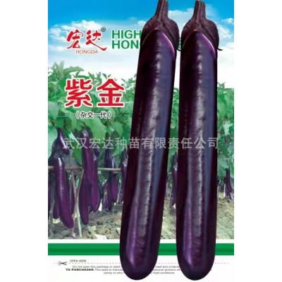 茄子种子紫红油亮品种：紫金F1（5克袋装）图5