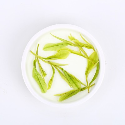 堇裕2023新茶绿茶安吉特产白茶雨前特级简装罐装125克图2