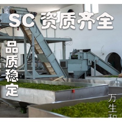 万生和板栗浓豆香日照巨峰厂家批发一级散装2023新茶山东日照绿茶图2