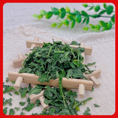 脱水菠菜片 厂家供应脱水方便面蔬菜包宠物食品原料水洗菠菜片图4