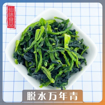 供应脱水菜芯 脱水蔬菜 脱水万年青 热风干燥青菜干图1