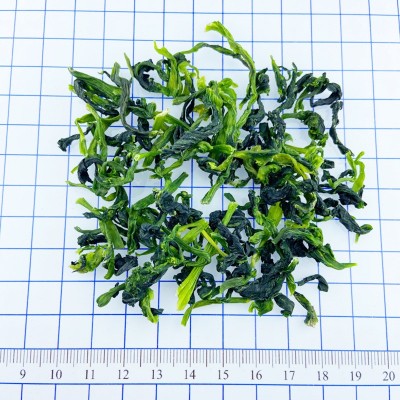 供应脱水菜芯 脱水蔬菜 脱水万年青 热风干燥青菜干图3