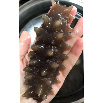 俄罗斯进口海参批发原货干货餐饮食材海鲜水产品淡干海参一斤装图2