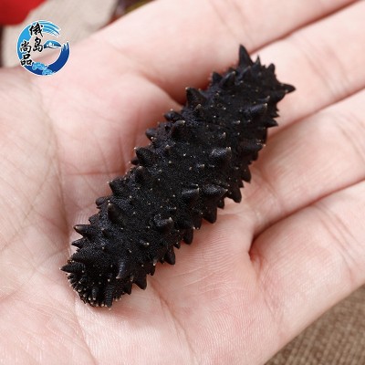 俄罗斯进口海参批发原货干货餐饮食材海鲜水产品淡干海参一斤装图5