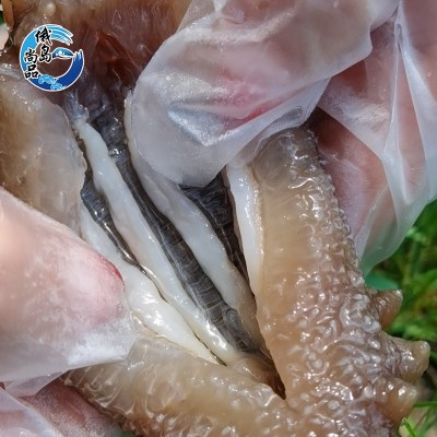 俄罗斯 二红 进口淡干海参50g 淡干海参干货淡干海参海鲜批发现供图2