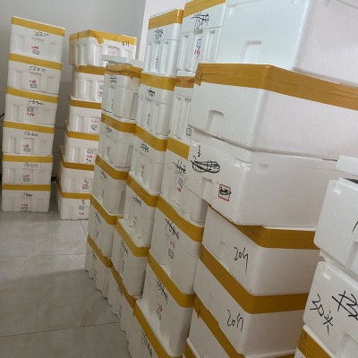 热销款淡干海参1斤30-40头深海底播新鲜水产干货海生非即食图2