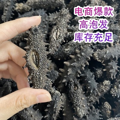 爆款淡干海参大连辽刺参40-80头/斤水产干货1斤海生散装特价实惠图1