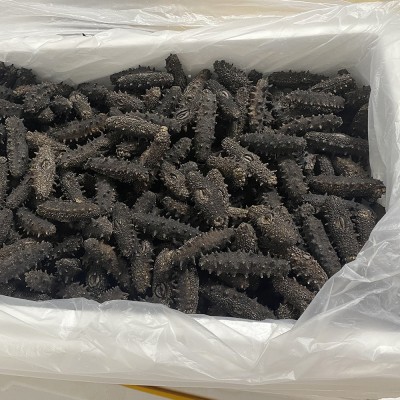 爆款淡干海参大连辽刺参40-80头/斤水产干货1斤海生散装特价实惠图2