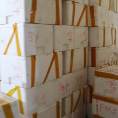 爆款淡干海参大连辽刺参40-80头/斤水产干货1斤海生散装特价实惠图4