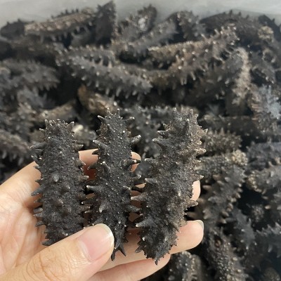 爆款淡干海参大连辽刺参40-80头/斤水产干货1斤海生散装特价实惠图3
