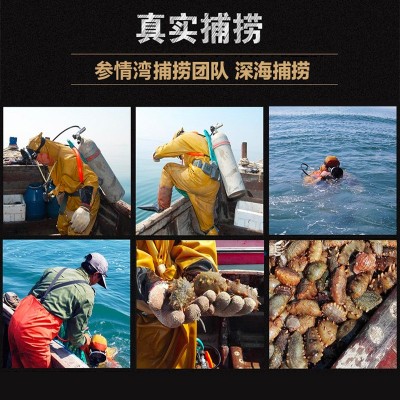 淡干海参大连A级海参水产干货辽参刺参小海参批发500g可选配礼盒图4