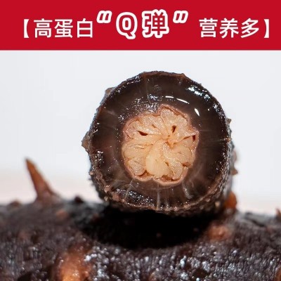 【工厂直供】美国红参即食 阿拉斯加红刺参 美国即食海参500g批发图2