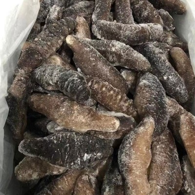 工厂货源 土耳其即食海参 希腊米刺参非大连即食海参 米刺参500克图4