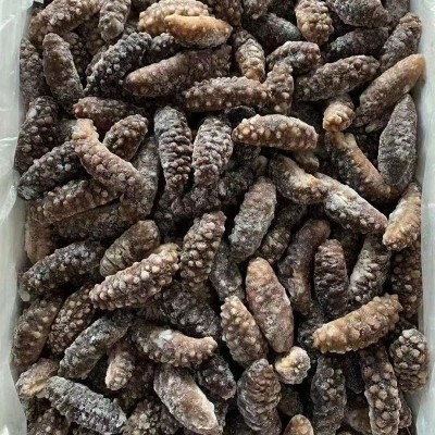 工厂货源 土耳其即食海参 希腊米刺参非大连即食海参 米刺参500克图3