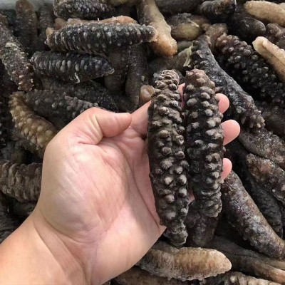 工厂货源 土耳其即食海参 希腊米刺参非大连即食海参 米刺参500克图2