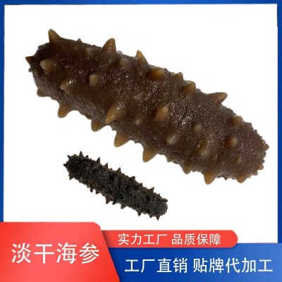 工厂货源量大价优 大连3A淡干海参 海参干货批发淡干海参海生礼盒图1