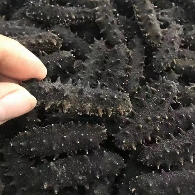 工厂货源量大价优 大连3A淡干海参 海参干货批发淡干海参海生礼盒图4