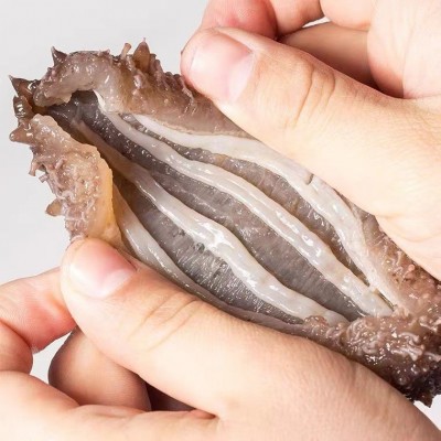 工厂直供】辽参即食非淡干海参干货大连即食海参500g海参批发图5
