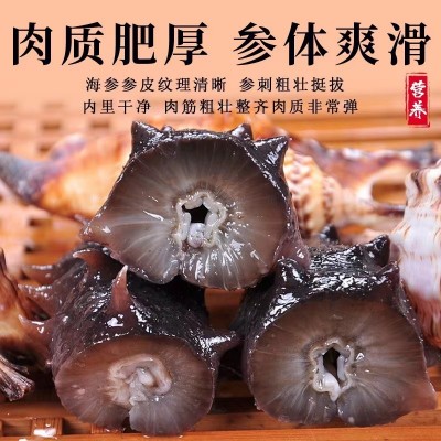 工厂直供】辽参即食非淡干海参干货大连即食海参500g海参批发图3