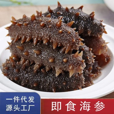 工厂直供】辽参即食非淡干海参干货大连即食海参500g海参批发图1
