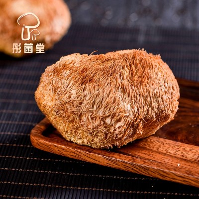 猴头菇厂家彤菌堂云南土特产菌汤包山珍菇煲汤干货大量批发猴头菇图3