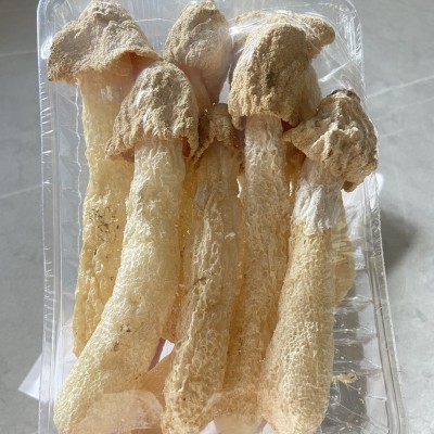 竹荪干货批发彤菌堂新货无熏硫短裙竹笙食用菌菇汤包餐饮酒店竹荪图3