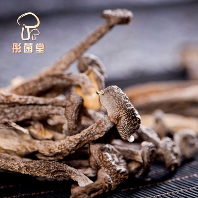 彤菌堂鹿茸菇代发云南特产北风菌煲汤爆炒源头厂家脆脆菇伴手礼图2