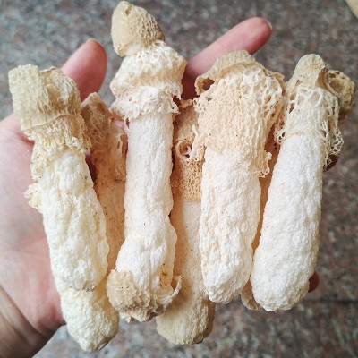 贵州织金竹荪500g红托竹笙特产短裙无熏硫火锅食材包邮图4