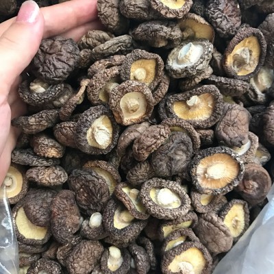 批发 小香菇古田蘑菇优质冬菇干菇水菇肉厚煲汤食材火锅500g图1