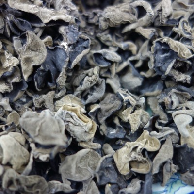 批发自产黑木耳东北特产干货无根肉厚脆爽产地500g图2