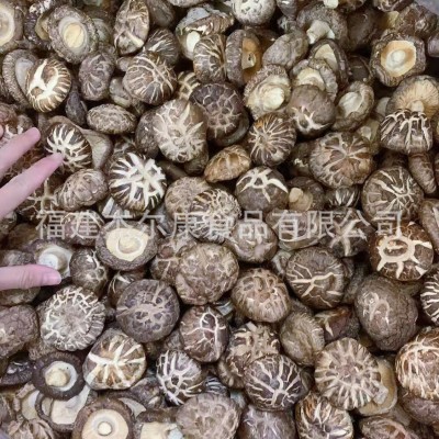 花菇厂家货源南北干货干香菇冬菇剪腿菌菇农产品产地批发一件代发图2