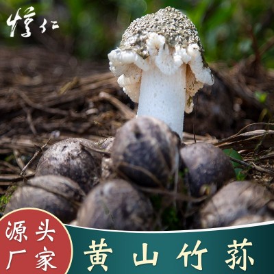 【竹荪】炖汤佳品 当季采摘 雪裙仙子鲜香干竹荪500g批发基地直发图1