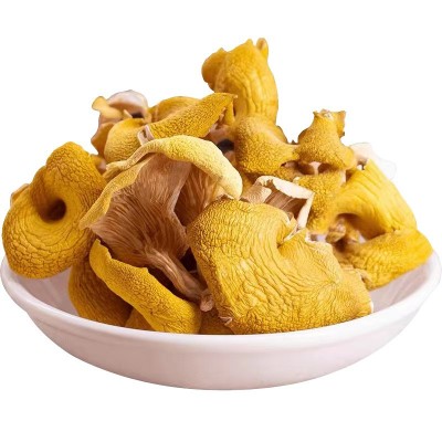 【手撕鸡油菌】醇香细腻鲜美可口鸡油菌煲汤营养菌基地统货批发图4