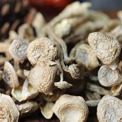 【鹿茸菇】精选新货头茬菇煲汤食材纯手工挑拣鹿茸菇干货500g批发图3