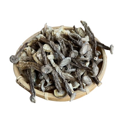 【鹿茸菇】精选新货头茬菇煲汤食材纯手工挑拣鹿茸菇干货500g批发图5