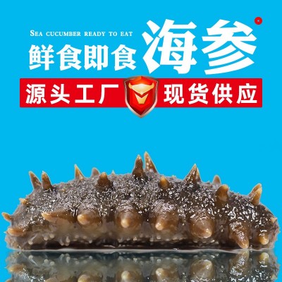 大连鲜食海参批发代发500g开袋即食肉质紧实非淡干冷冻即食海参图4