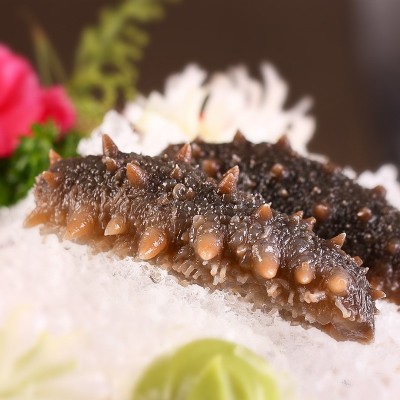 大连鲜食海参批发代发500g开袋即食肉质紧实非淡干冷冻即食海参图2