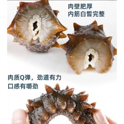 工厂直营 大连鲜食海参批发 肉质紧口感Q弹即食海参独立真空包装图2