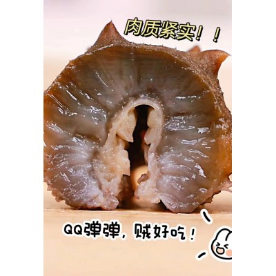 工厂直营 大连鲜食海参批发 肉质紧口感Q弹即食海参独立真空包装图3