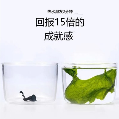 干裙带菜干货海带苗嫩丝裙带菜裙带菜宝宝儿童食材图3