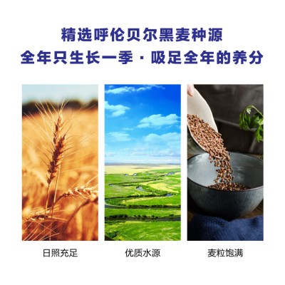 成泰益25kg高品质黑麦粉全麦粉图3