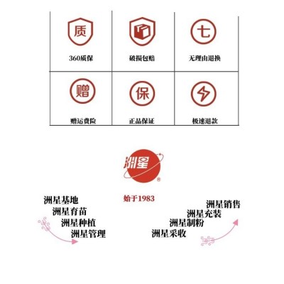 葛根粉小包装柴葛粉茶真品500g健康早餐食品代餐粉图2