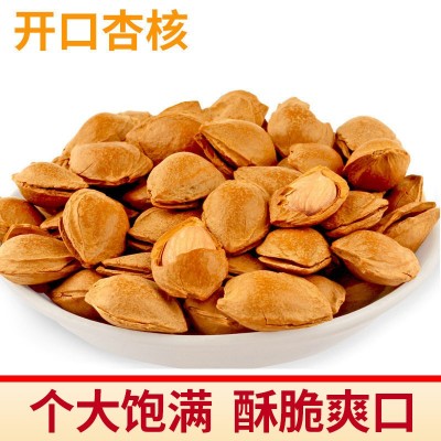 鑫凯杏产品 休闲食品开口杏核干果炒货低价批发 厂家批发代理图1