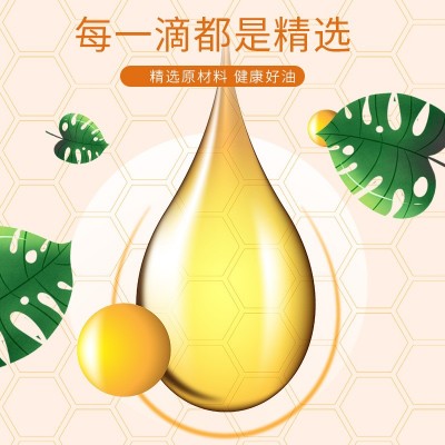 厂家生产5L高油酸粮油花生植物油来料低温冷榨花生OEM贴牌代加工图2