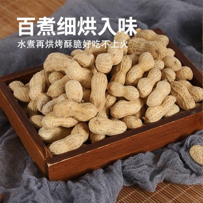 奶香奶油花生带壳水煮炒熟批发新季多味坚果零食散装伊食佳工厂图3